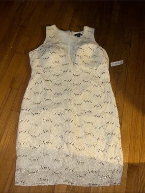 Sleeveless Cream Sequin Lace Mini Dress